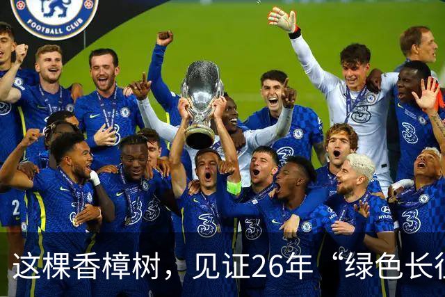 这棵香樟树，见证26年“绿色长征”
